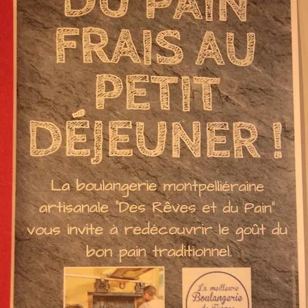 Hotel Des Arts, Artisanal Et Independant